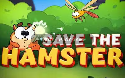 Save the Hamster (Сейв зе Хамстер) играть онлайн в 1Win